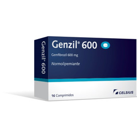 Imagen de GENZIL 600 600 mg [16 comp.]