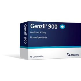 Imagen de GENZIL 900 900 mg [10 comp.]