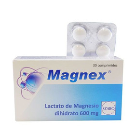 Imagen de MAGNEX 600 mg [30 comp.]