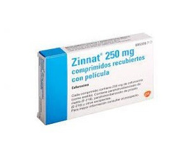 Imagen de ZINNAT 250 250 mg [10 comp.]