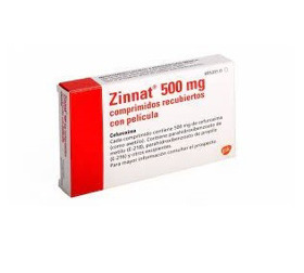 Imagen de ZINNAT 500 500 mg [10 comp.]