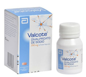Imagen de VALCOTE 250 250 mg [20 tab.]