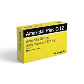 Imagen de AMOXIDAL PLUS C/12 875+125 mg. [14 comp.]